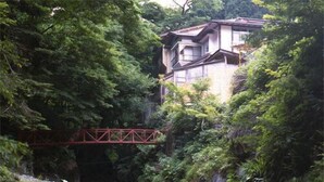 Une cascade dans une zone boisée, avec un pont et un bâtiment en arrière-plan.