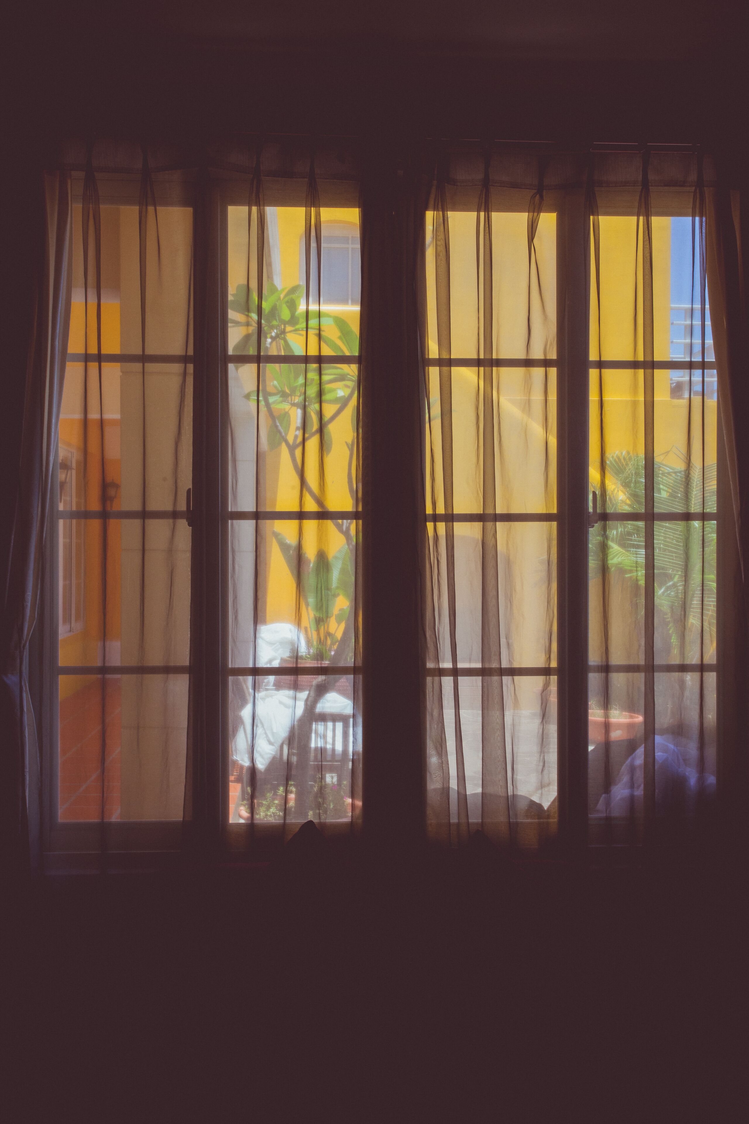 Una ventana con cortinas translúcidas, vista a una pared amarilla y una planta en maceta afuera.