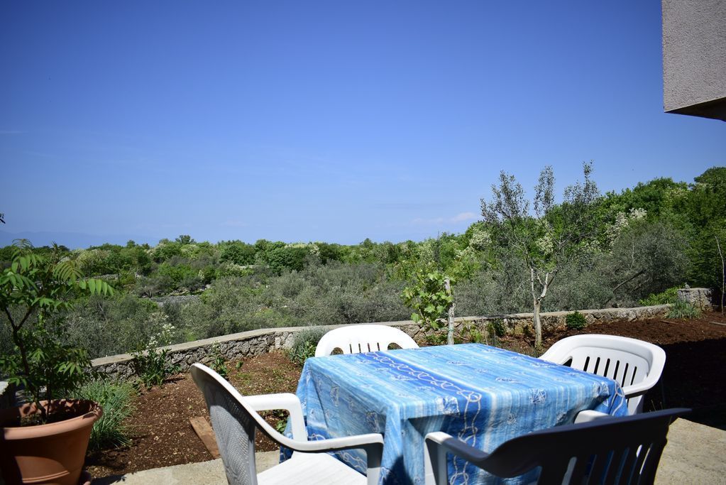 A patio with a table covered in a blue tablecloth, white chairs, and a potted plant.