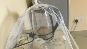 A glass display case with a mesh cover, containing several glass jars and a white object. - Beautiful Gates Guest House (Palapye)