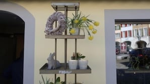 Ein Schaufenster mit dem Schild 'Wolke4' über einer Präsentation von Blumentöpfen und Dekoration.