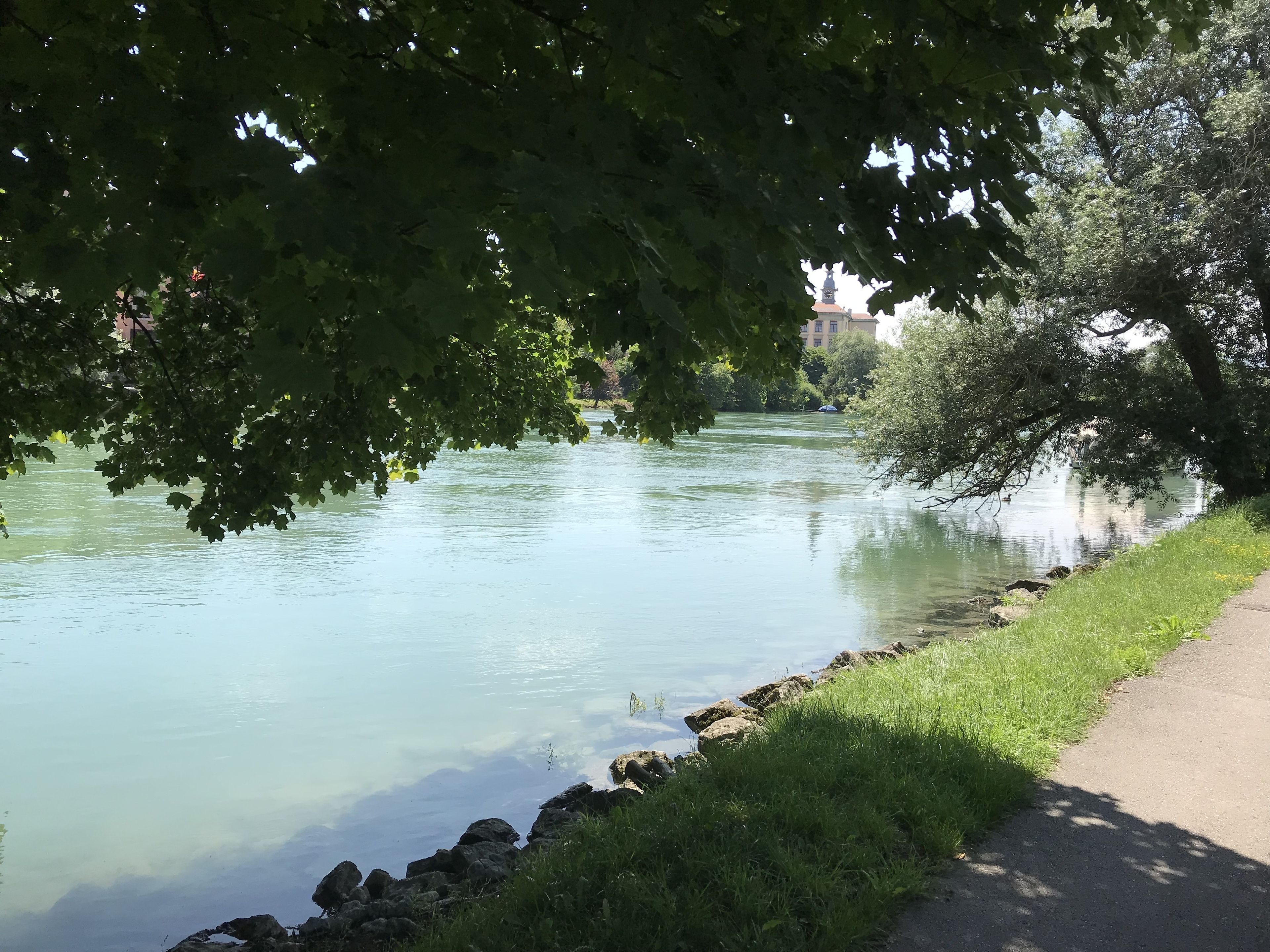 Un río tranquilo con una orilla cubierta de hierba y un camino pavimentado.