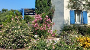 En bygning med hvide facader og blå persienner, omgivet af forskellige blomstrende planter og et højt træ.
