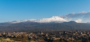 A town with a prominent snow-capped mountain in the background.