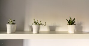 Three white pots with plants on a white shelf against a plain wall.