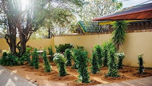 A garden with various plants and a tree. - Blomsbed Inn (Palapye)
