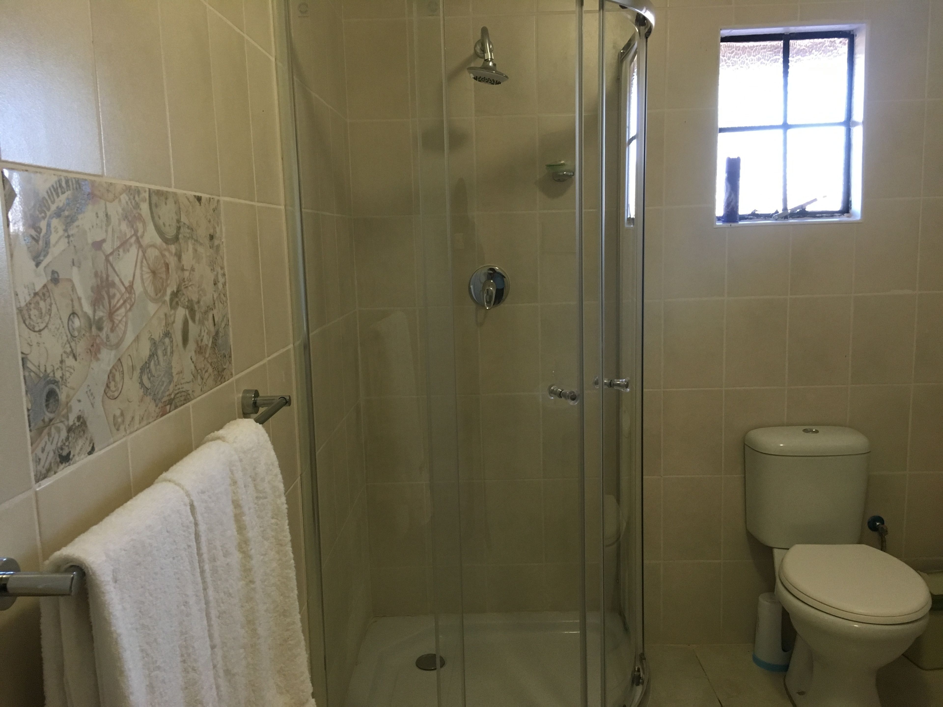 Baño con ducha envuelta en vidrio, inodoro y ventana.