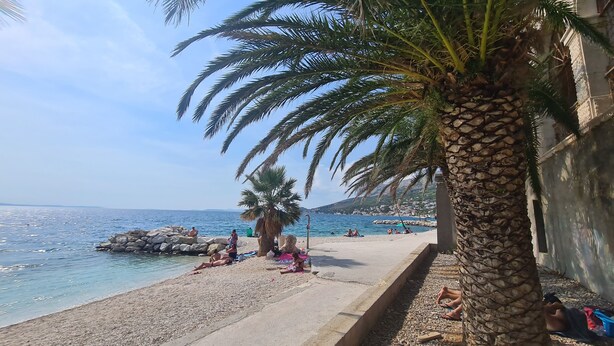 Una playa con palmeras, costa rocosa y gente relajándose.