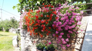 A stone wall with hanging flowers in red and pink. - Apartment Sabina & Grapes (Malinska-Dubasnica)