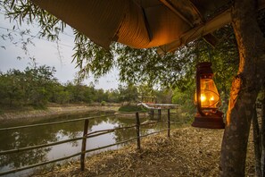 Land view from property - Jungle King Resort (Bichhiya)