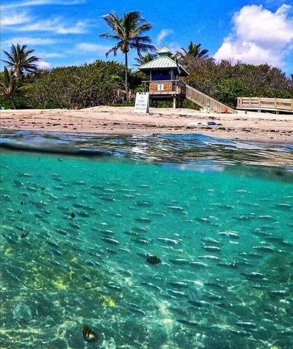 Beautiful Beach House Downtown