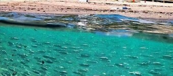 Beautiful Beach House Downtown