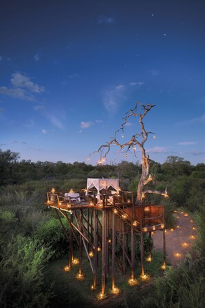Property grounds - Lion Sands Ivory Lodge (Bushbuckridge)