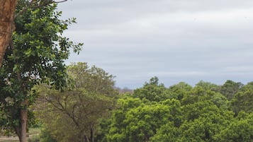 Café da manhã, almoço e jantar; local e internacional