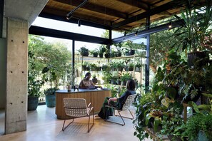 Reception - Lion Sands Ivory Lodge (Bushbuckridge)
