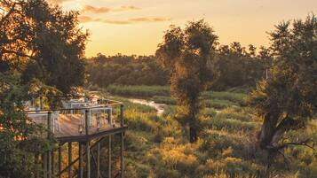 A wooden deck with tables and chairs, surrounded by dense vegetation and a river.