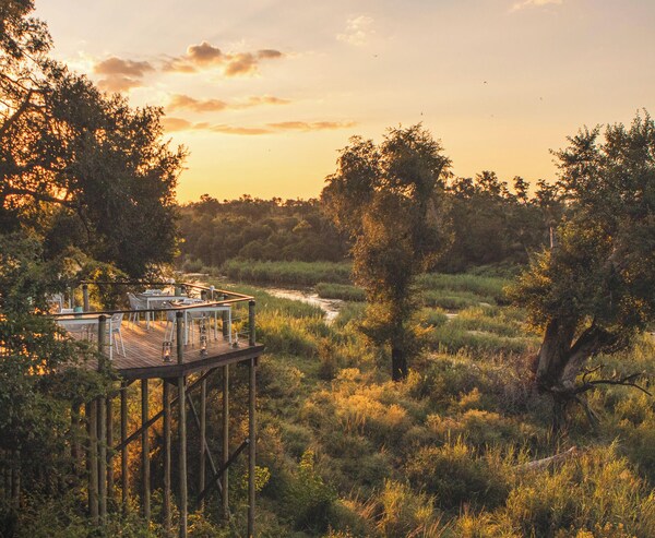 Lion Sands Narina Lodge - Skukuza