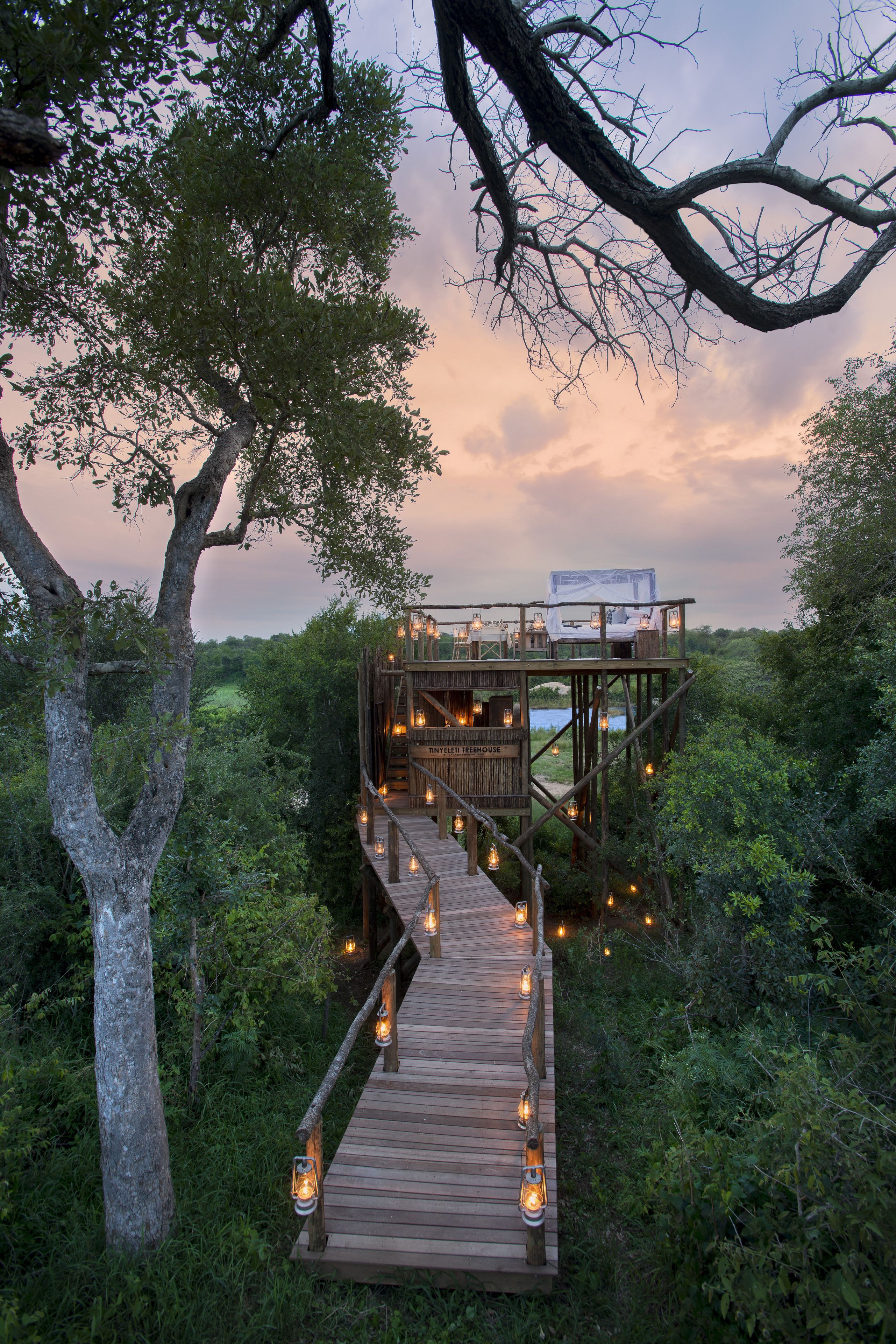 A wooden deck with lanterns leading to a treehouse with a bed and a sign reading "Dine & Teasemouse".