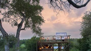 A wooden deck with lanterns leading to a treehouse with a bed and a sign reading "Dine & Teasemouse".