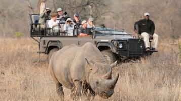 A safari vehicle with passengers observing wildlife.