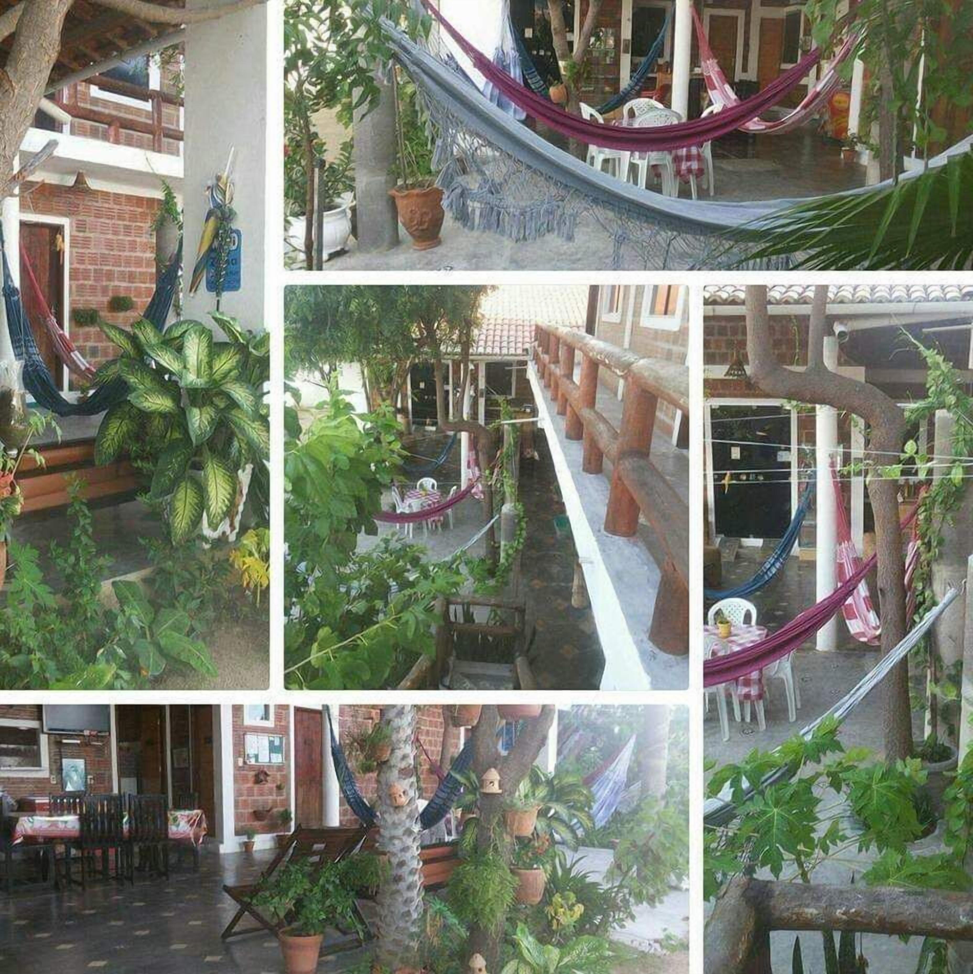 A series of photos depicting a cozy, plant-filled interior space with hammocks and seating areas.