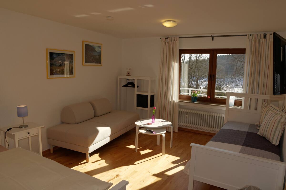 A cozy room with a bed, a sofa, a small table, and a radiator.