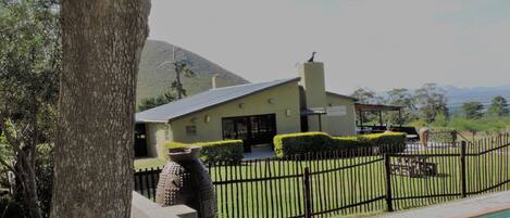 Piscine extérieure, chaises longues