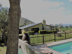 Outdoor pool, sun loungers