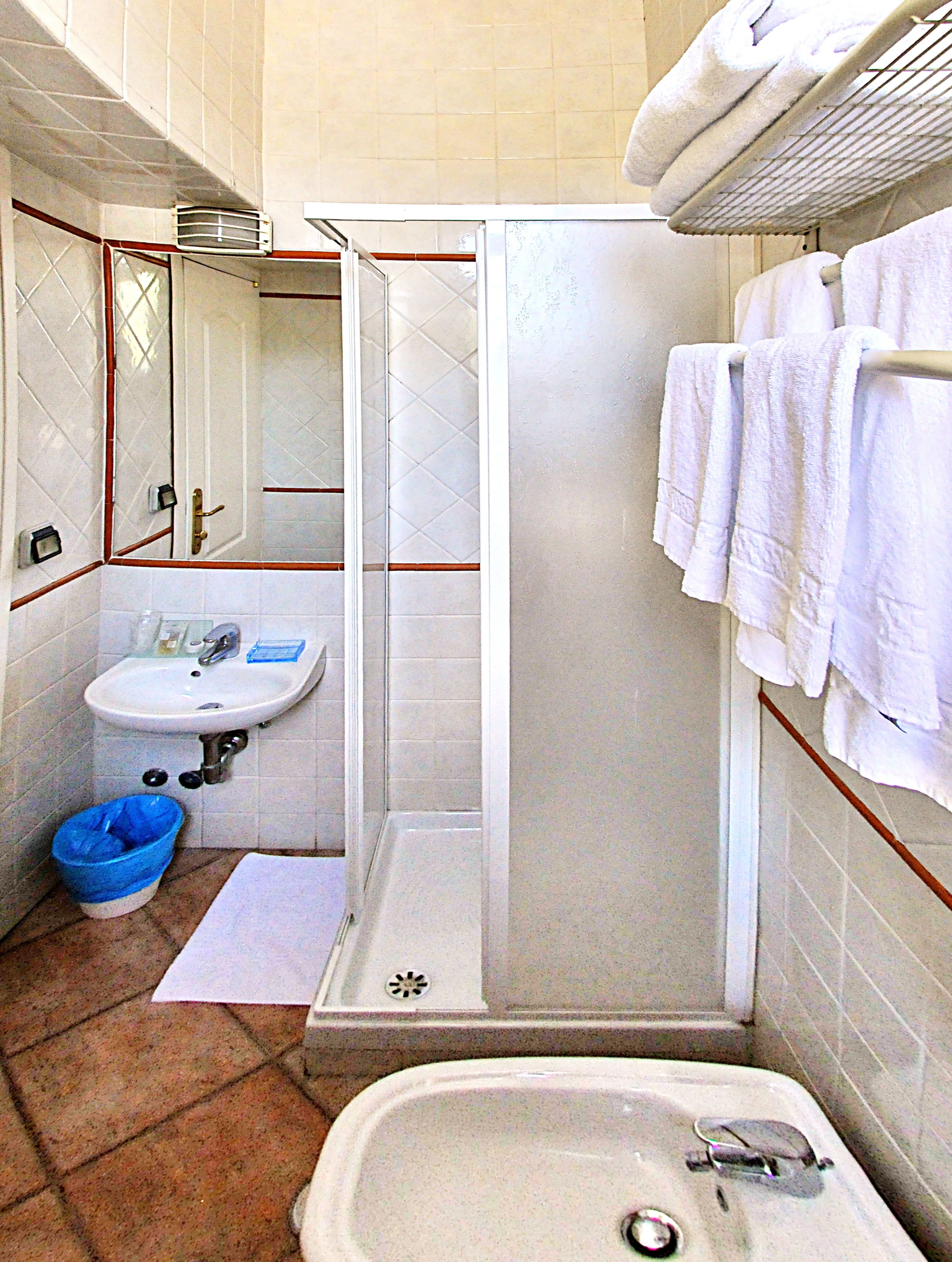 shower, free toiletries, hair dryer, bidet