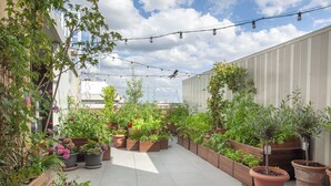Rooftop terrace - The People - Paris Bercy - Hostel (Paris)