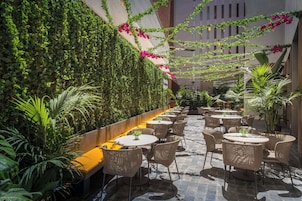 An outdoor seating area with round tables and chairs, surrounded by lush greenery and potted plants.