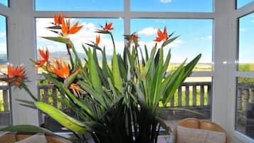 Interior detail