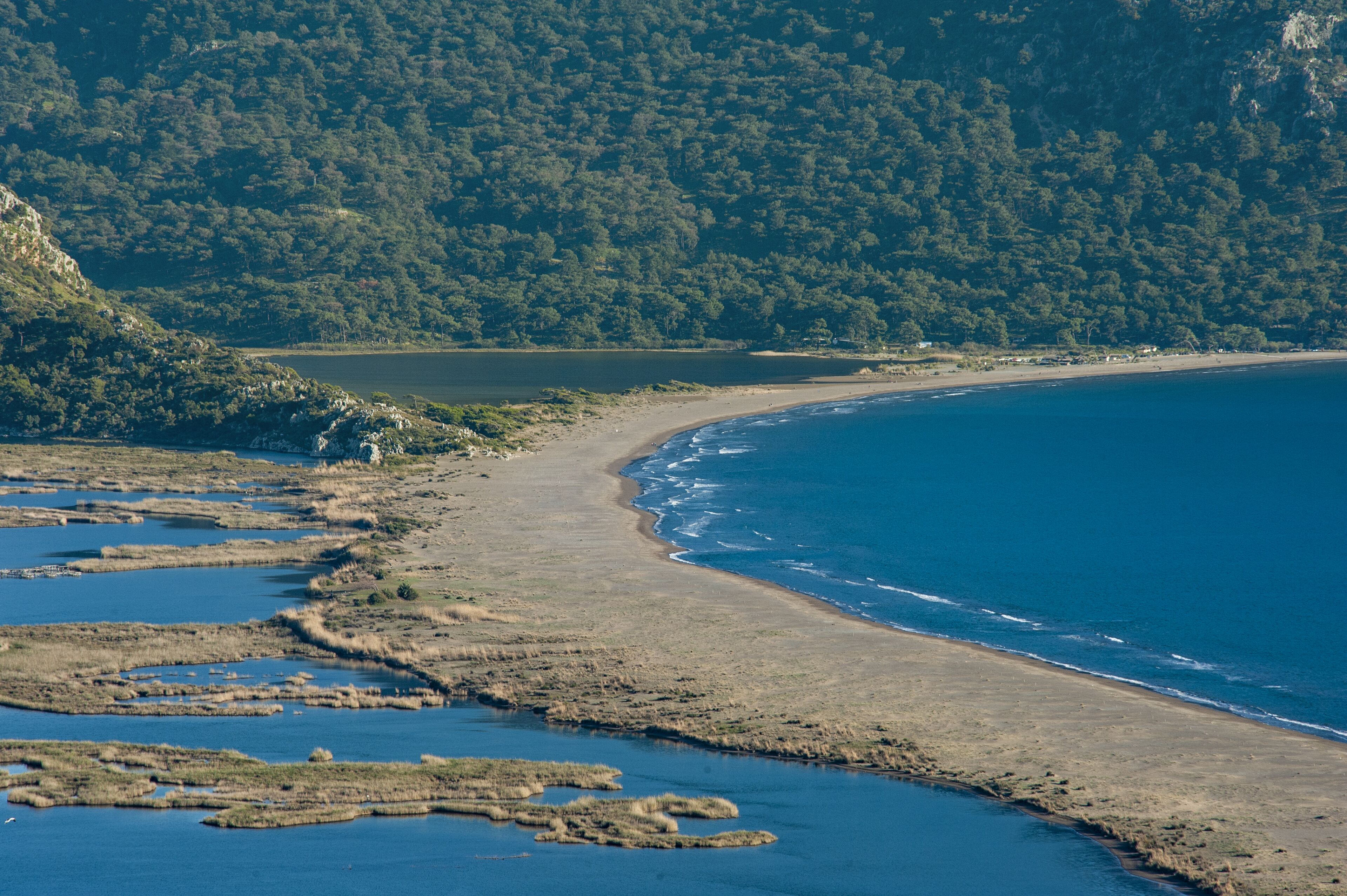 Een kustlandschap met een zandstrand, een rustige zee en een beboste heuvel op de achtergrond.