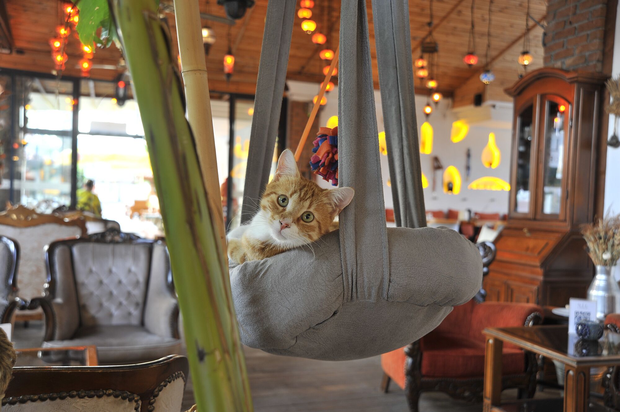 2 bars/lounges, poolside bar