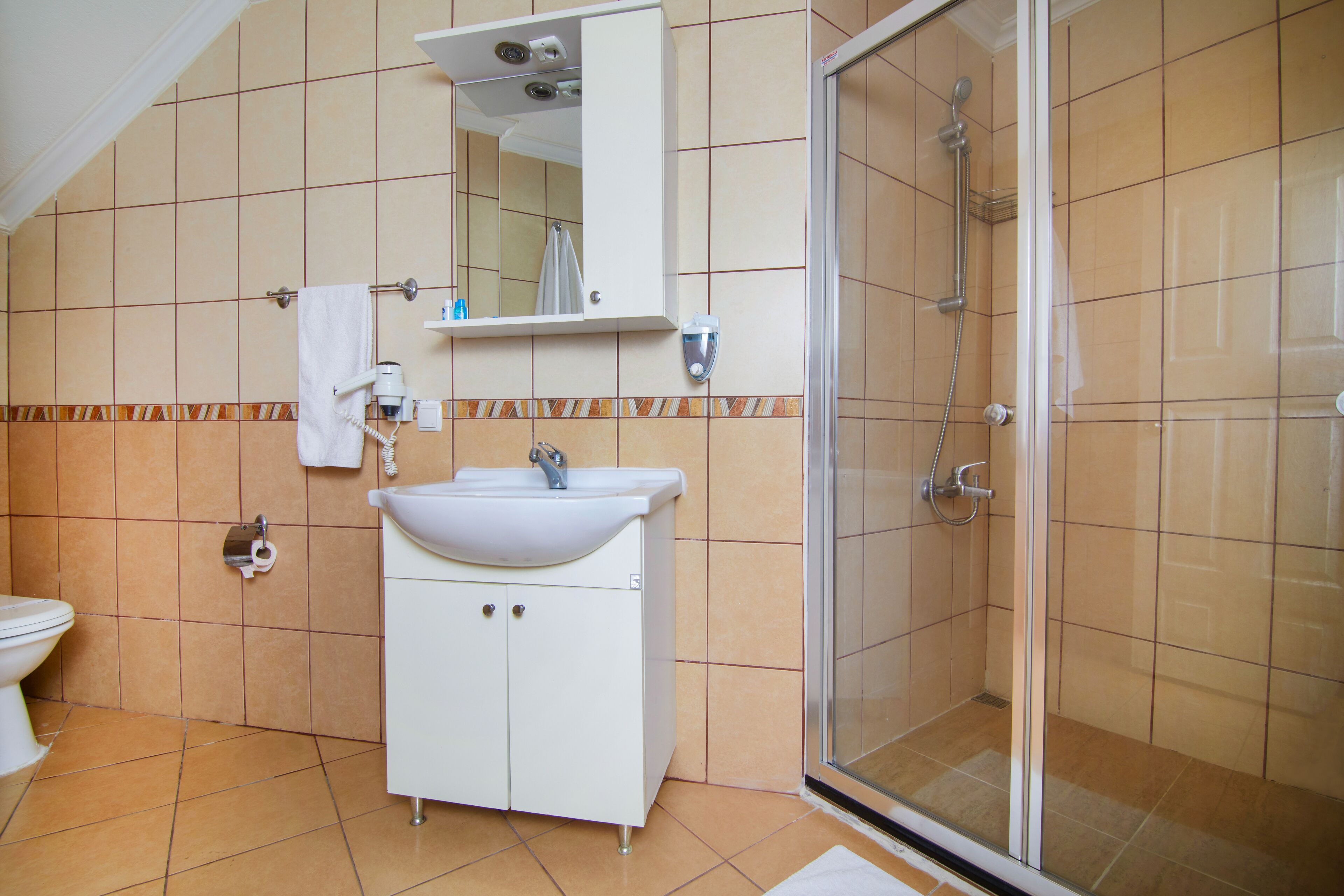 shower, hydromassage showerhead, free toiletries, hair dryer