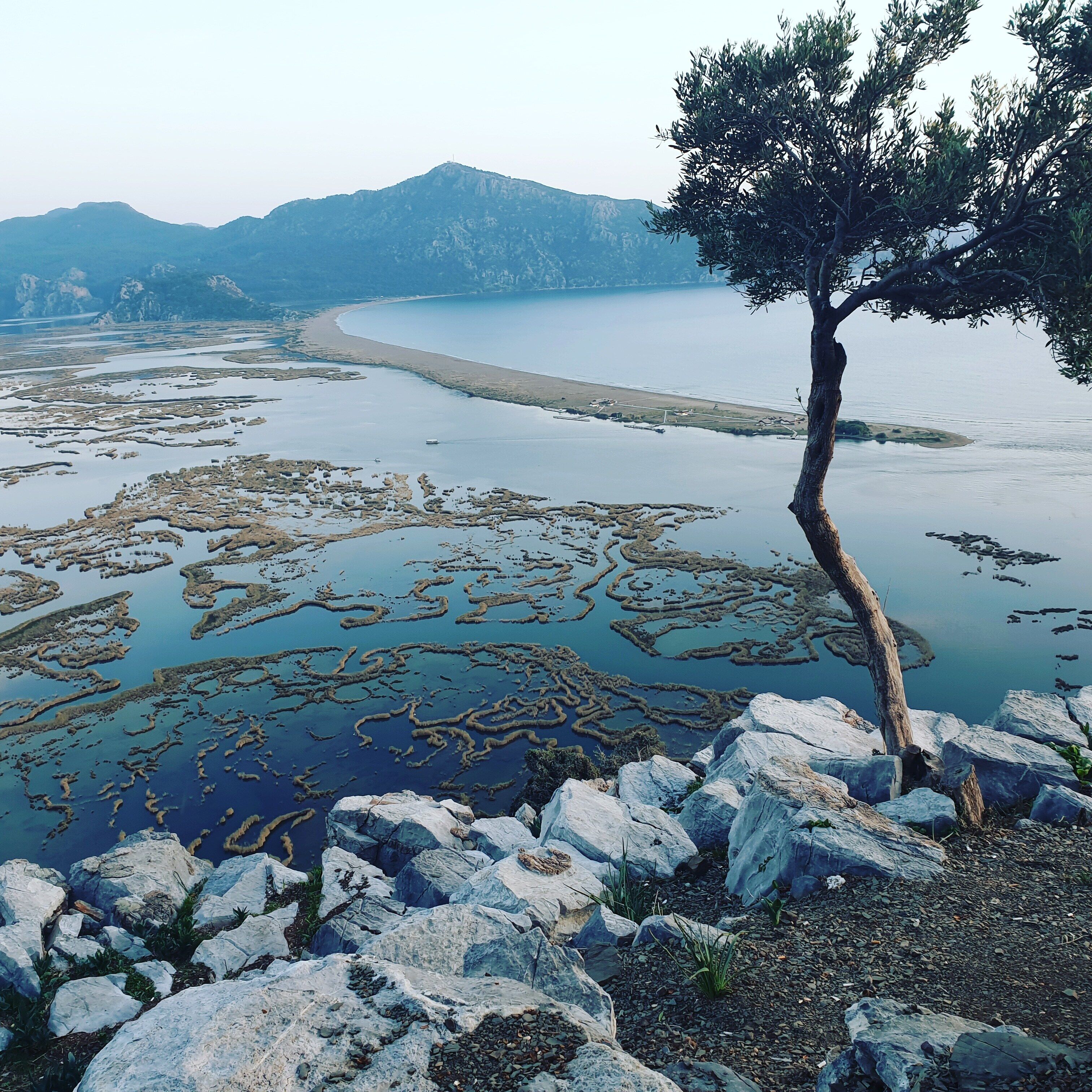 관광명소