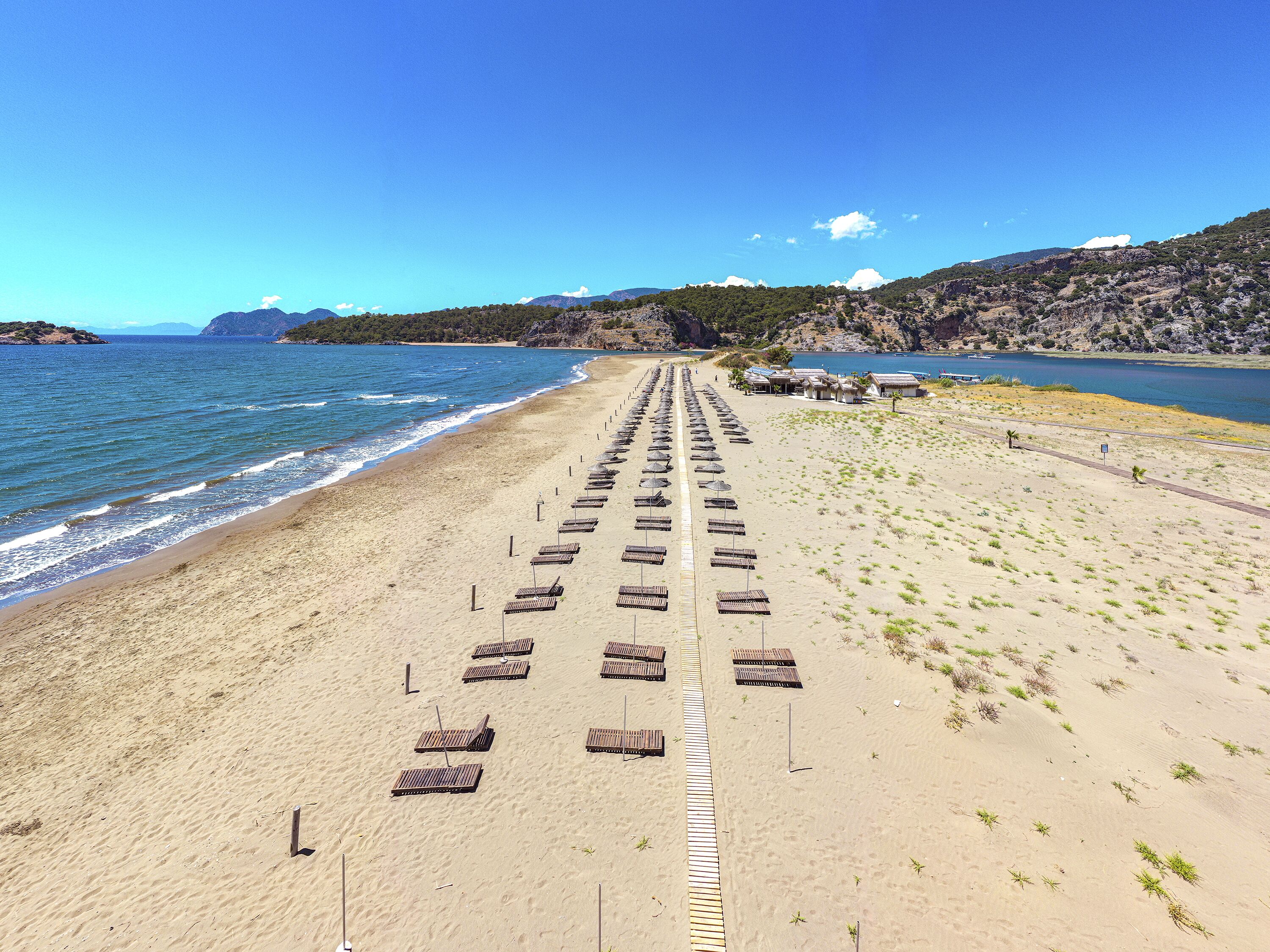 Una playa con filas de tumbonas y un camino pavimentado que conduce al agua.