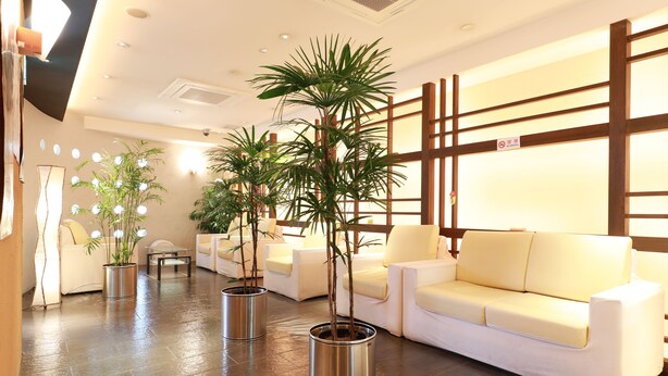 Un área de recepción con un sofá, sillas y plantas en macetas.