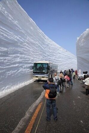 Miscellaneous - Tateyama Green Park Yoshimine (Tateyama)