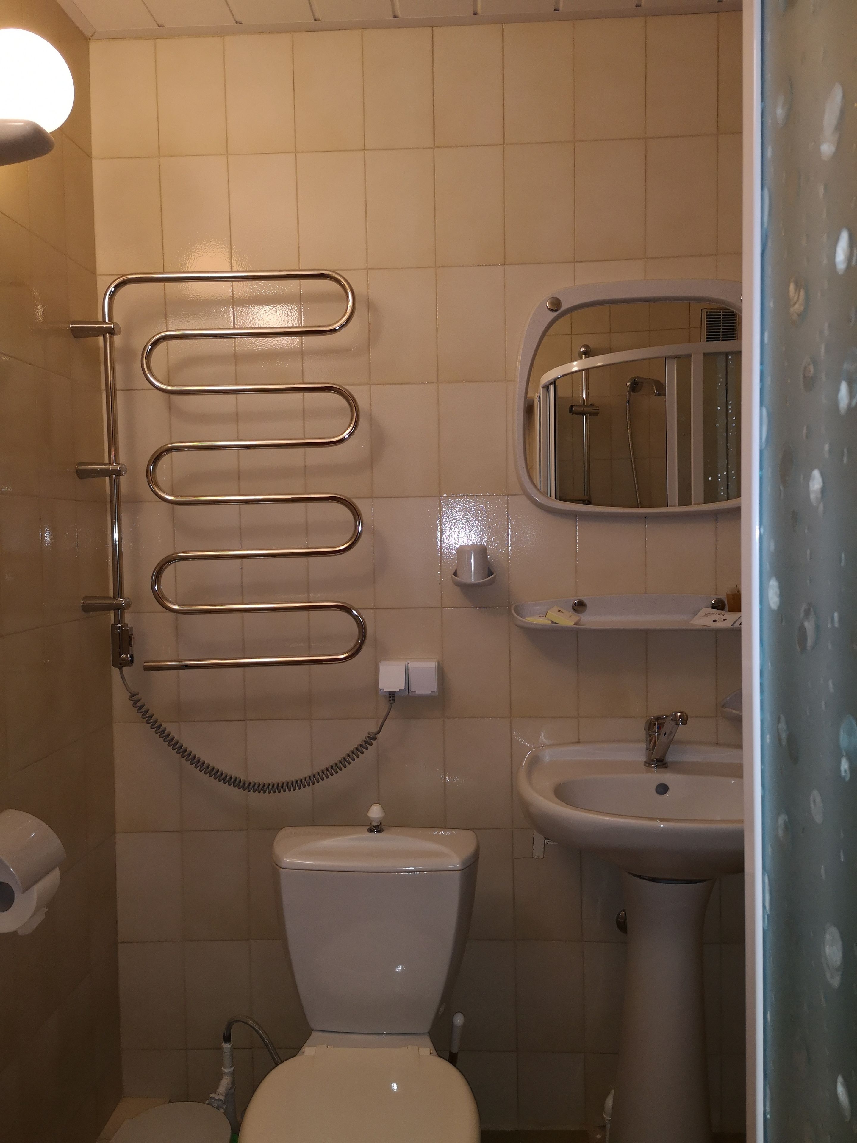 A bathroom with a toilet, sink, and a shower area with a handrail.