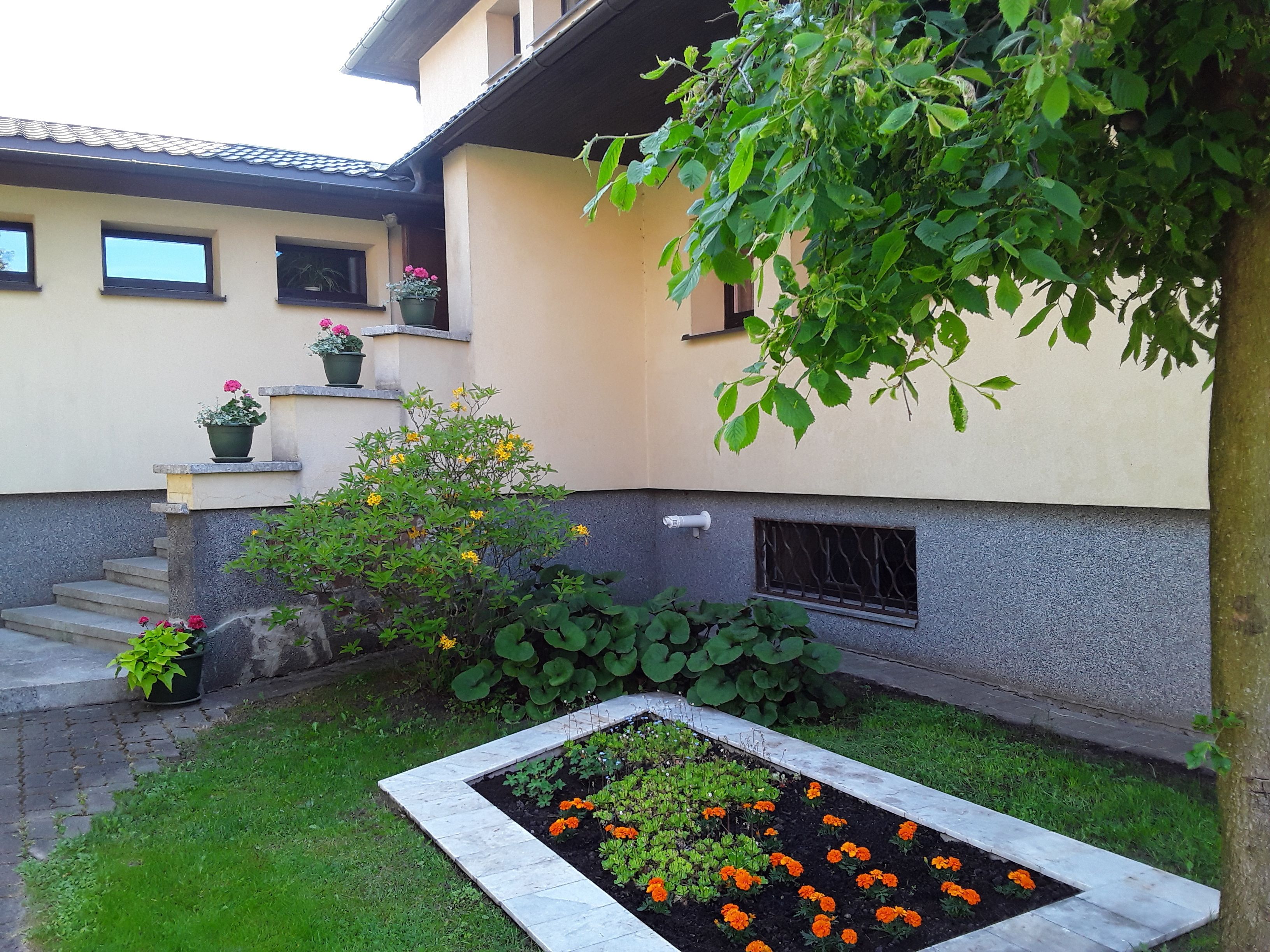 Un patio con un parterre floral, plantas en macetas y un edificio con tejado de baldosas y ventanas.