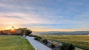 Viñedo con un sendero que lleva a un edificio con pérgola.
