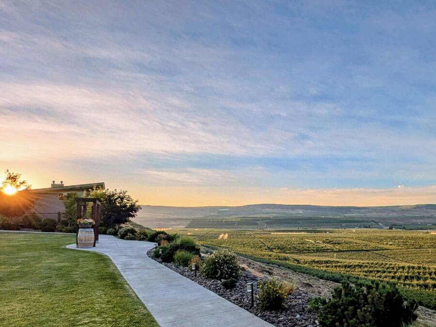 A vineyard with a pathway leading to a building with a pergola.