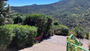 Un camino pavimentado que lleva a una zona montañosa con abundante vegetación y un cielo azul despejado.