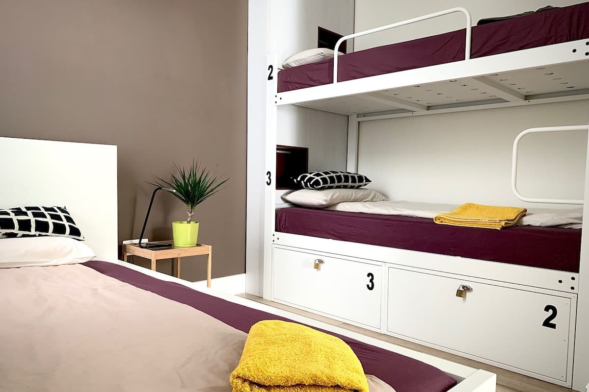 A bunk bed room with a single bed and a desk with a plant.