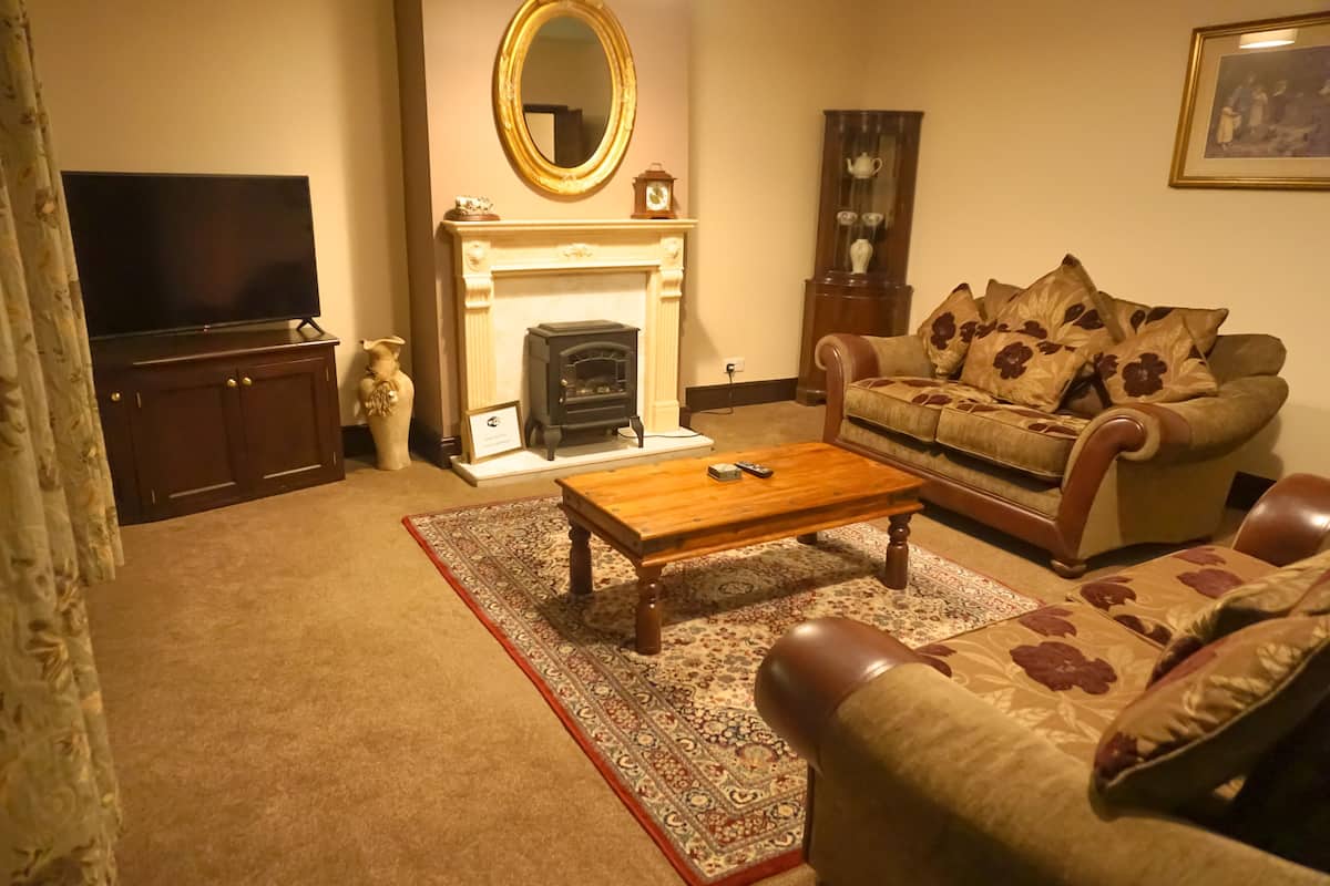 standard house | living area | flat-screen tv