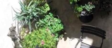 Kamar Double Comfort (Birdy) | Pemandangan taman