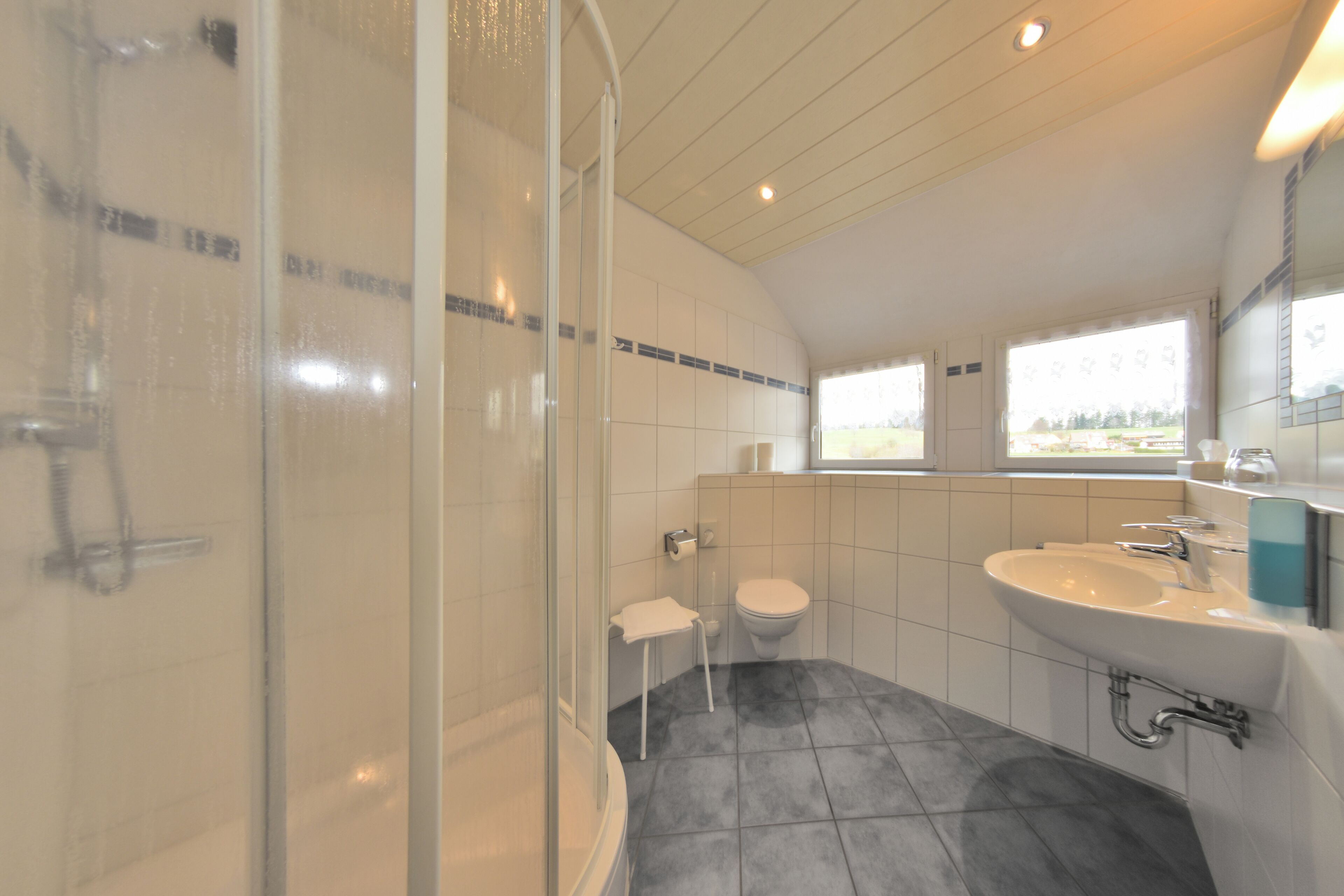 A modern bathroom with a shower, toilet, and sink.