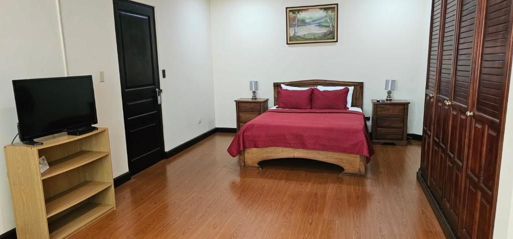 Quarto com cama, televisão em móvel, pintura na parede e armário.