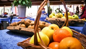 A table with baskets of fruits and a potted plant. - Vacances passion - Village La Bayette (Le Pradet)
